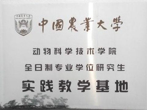 实践教学基地